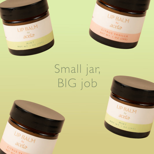 The Lip Balm