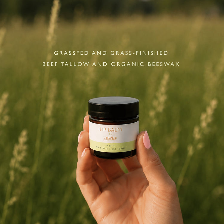 The Lip Balm